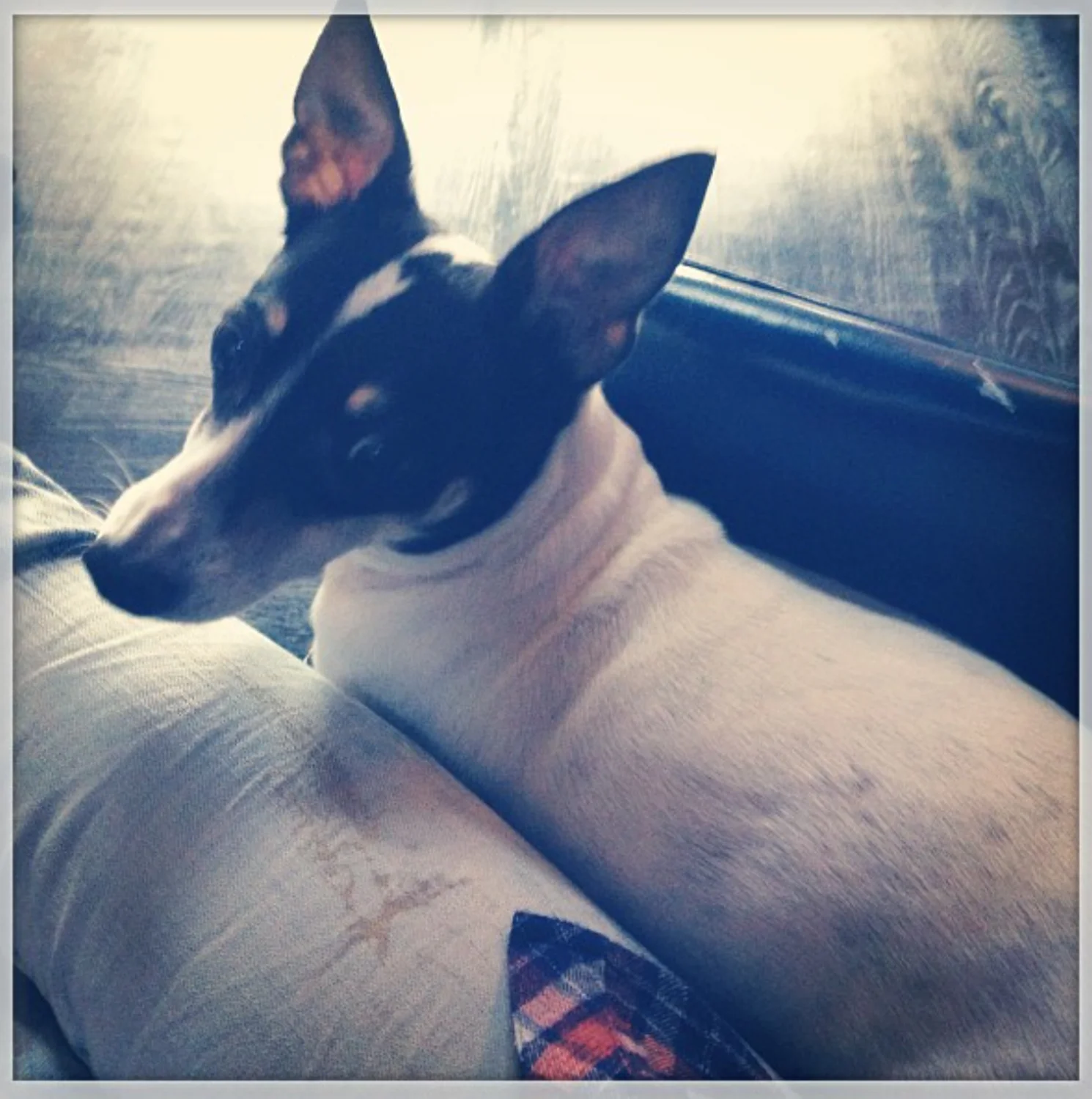 Screen Shot 2018-08-09 at 6.01.39 PM.JPG