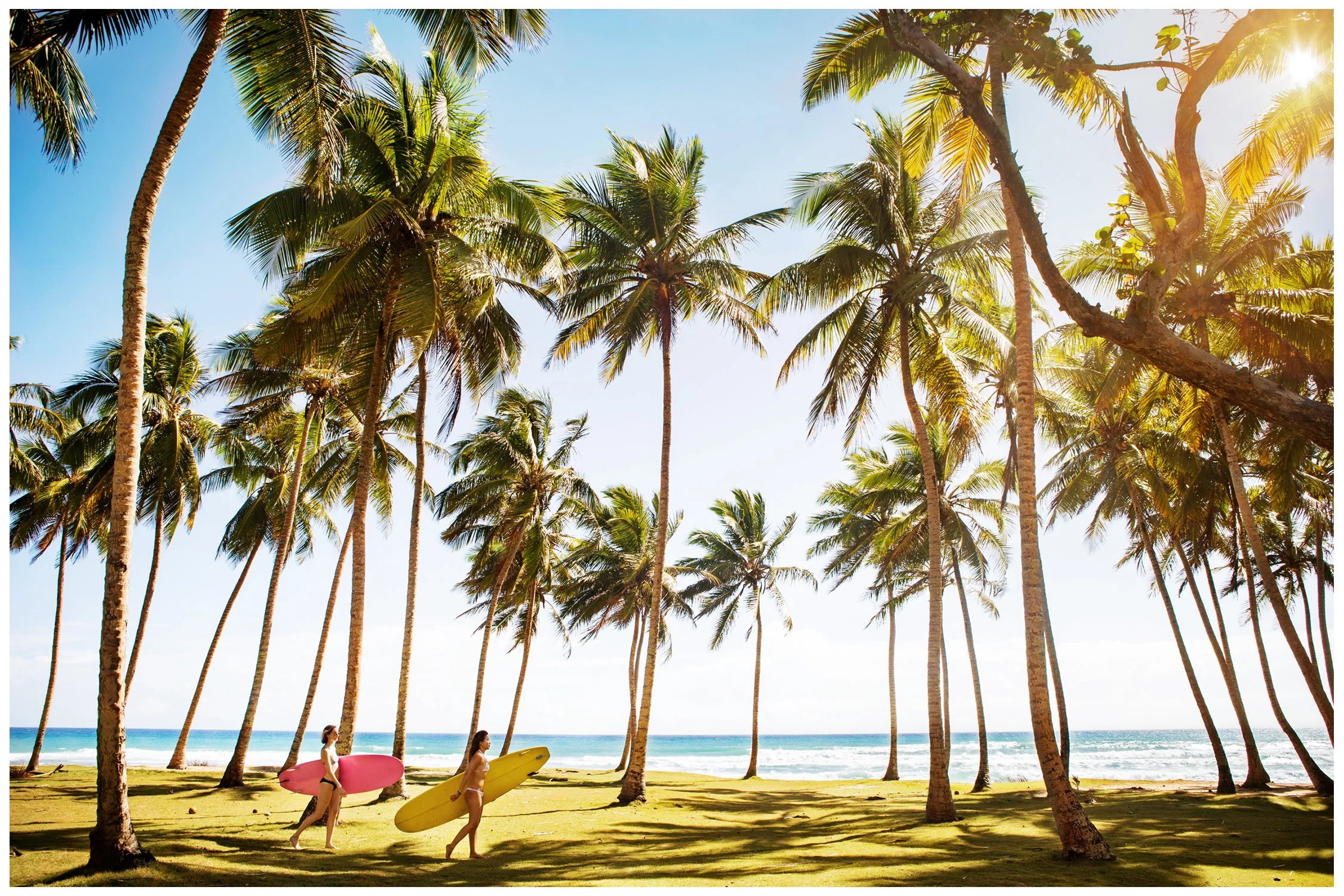 3a SRGBWEB_NINACHOI_DR-9898.JPG