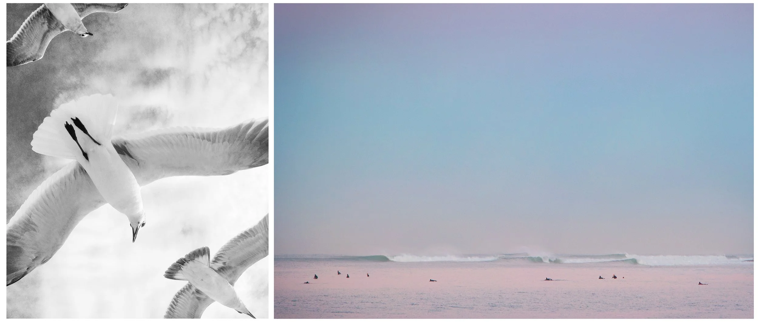 13 SRGBWEB_D8A4303.jpg