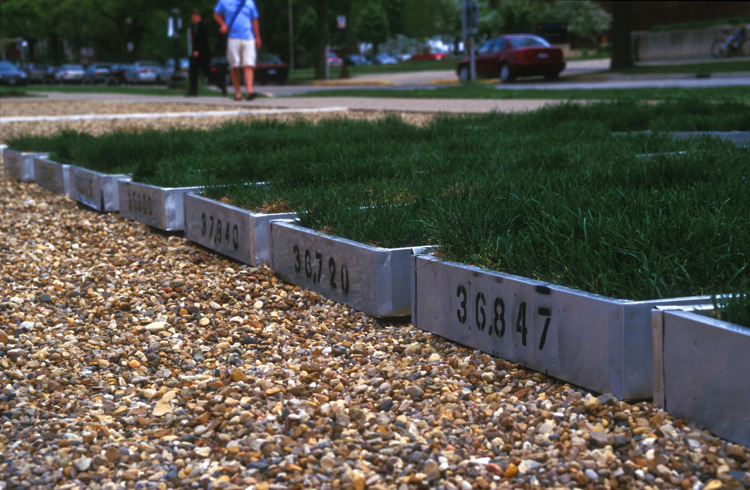 Blades of Grass (detail)