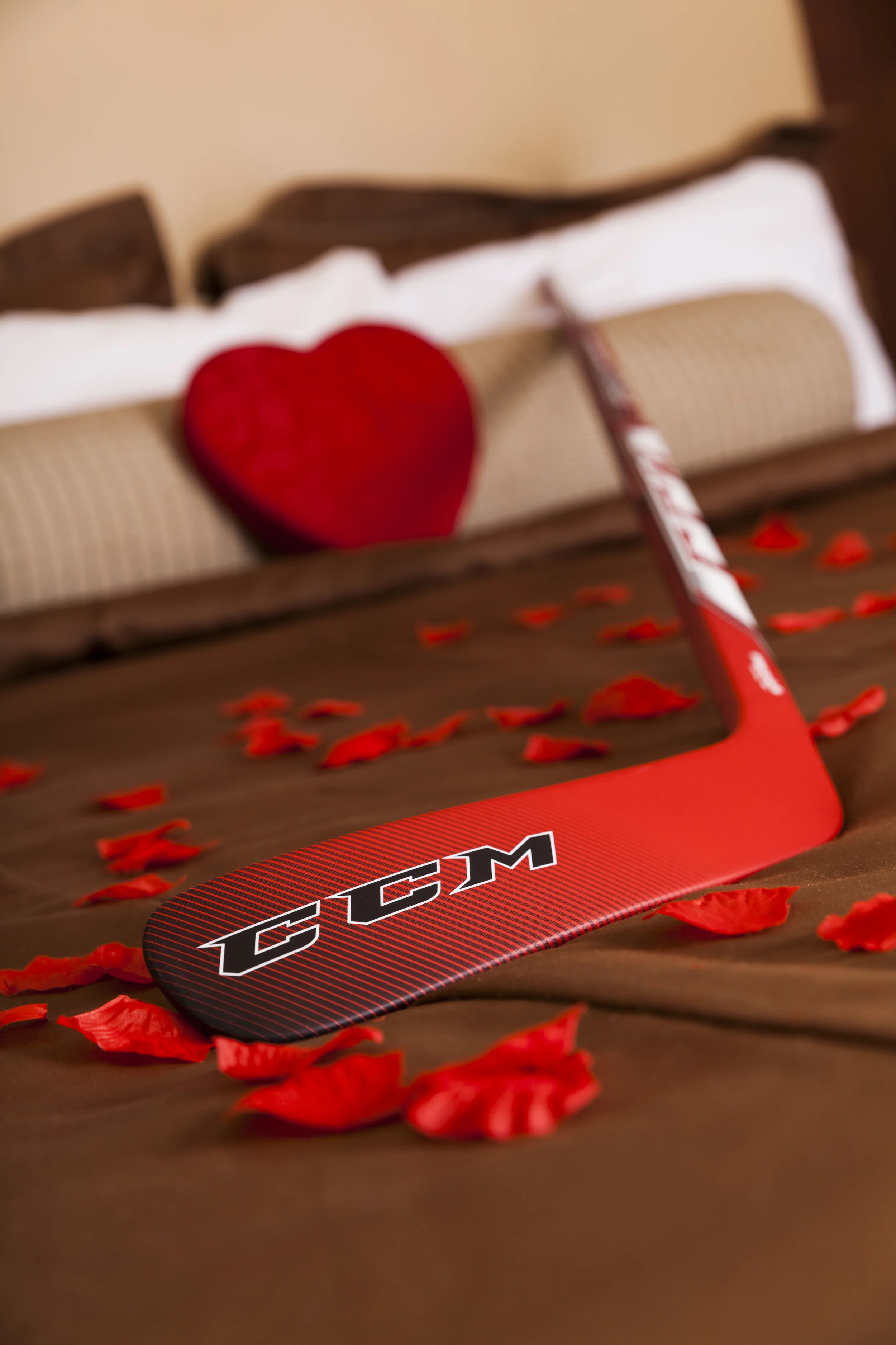 _MG_2416valentines_2016.jpg