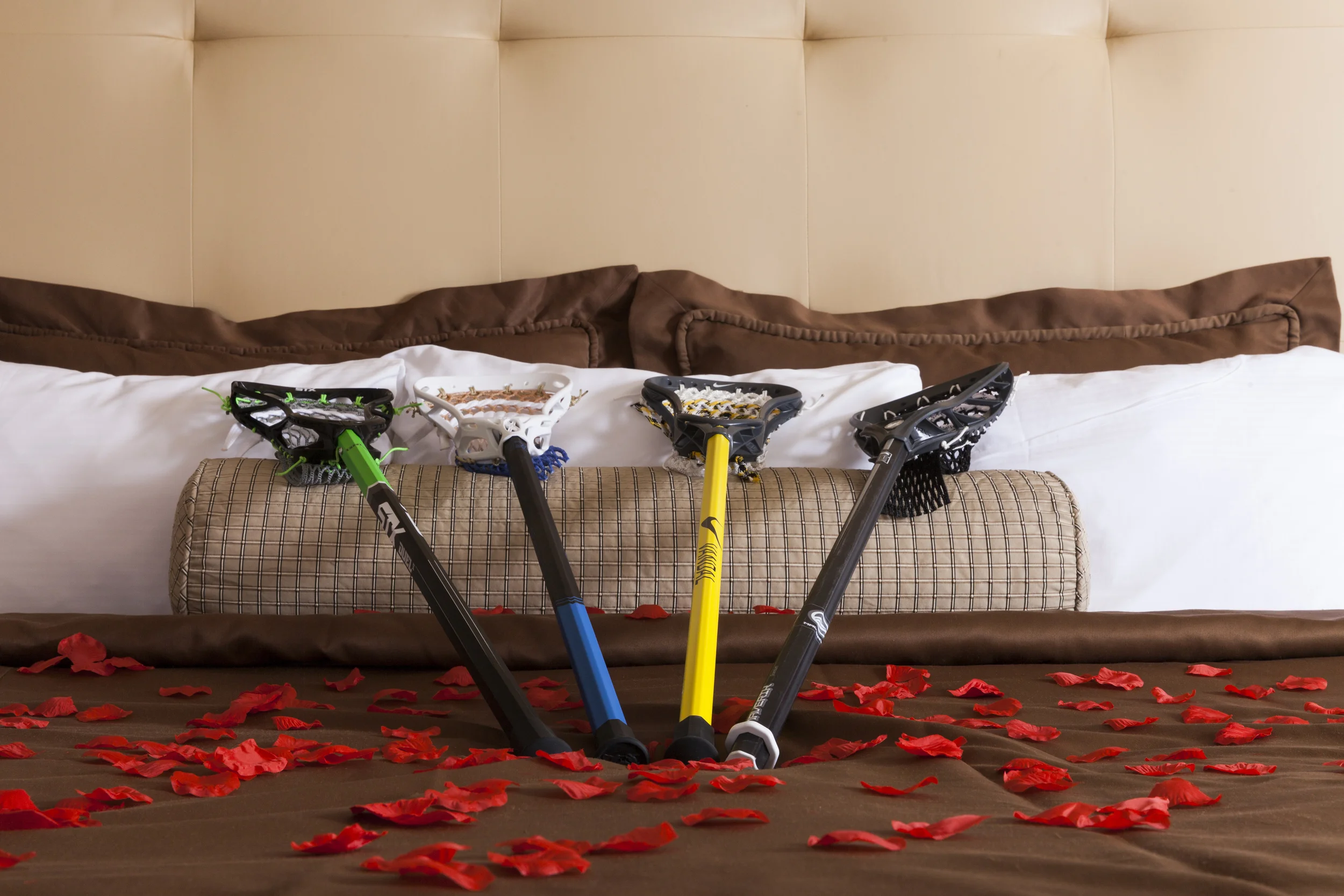 _MG_2505valentines_2016.jpg