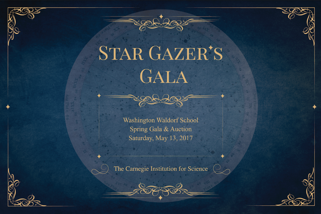 Washington Waldorf School - Gala Event2.png