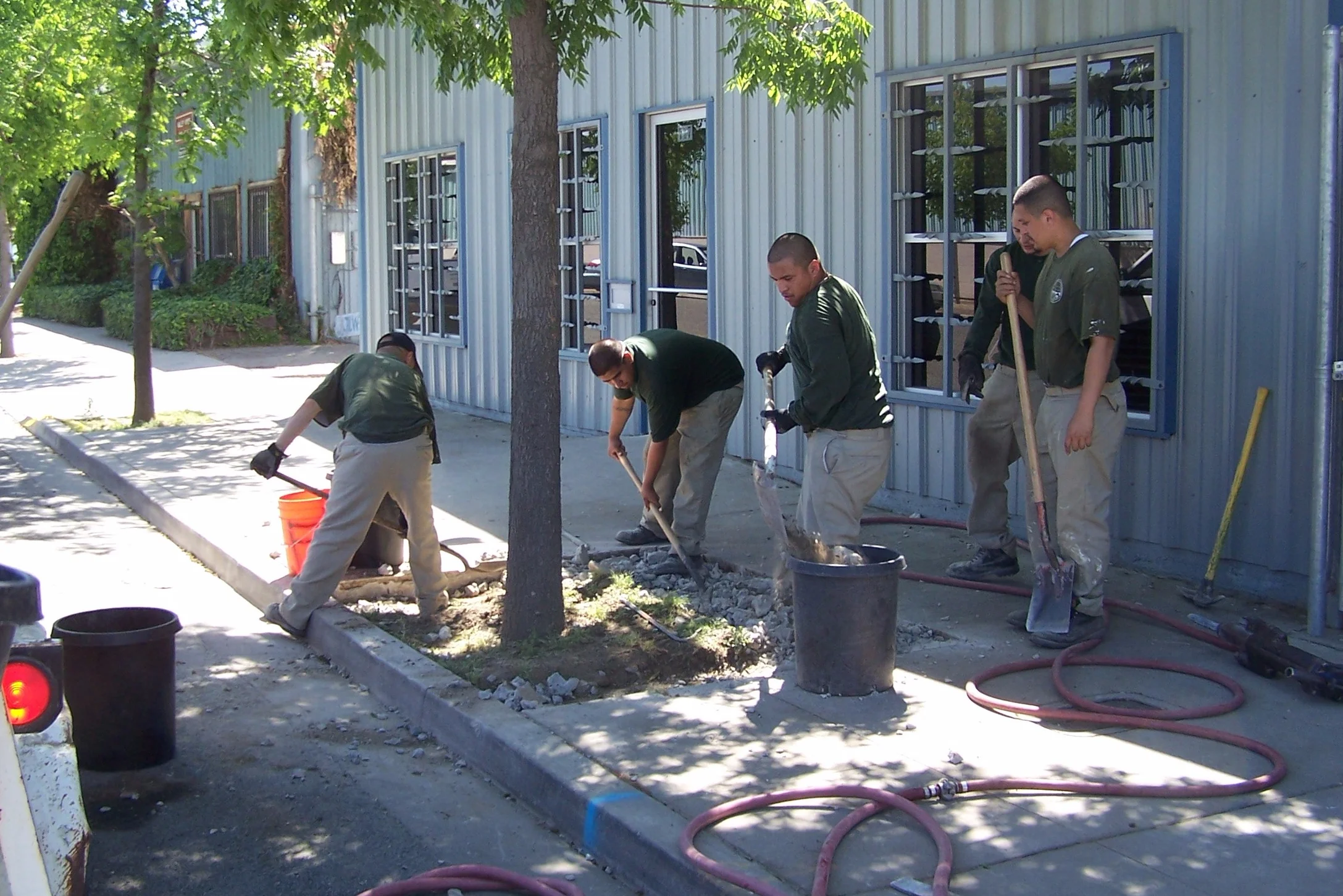 tree well project.JPG