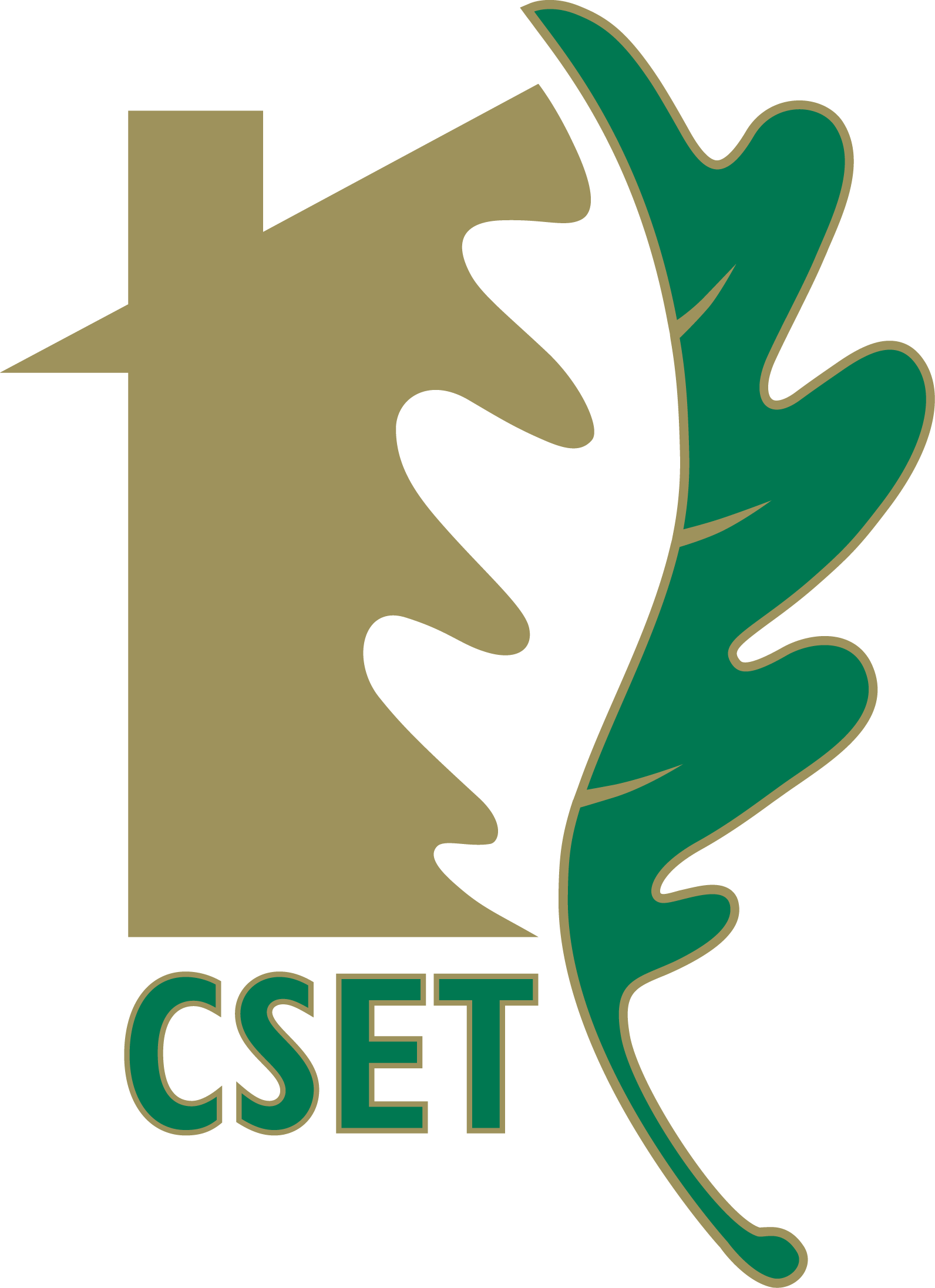CSET Logo for United Way Portal.png