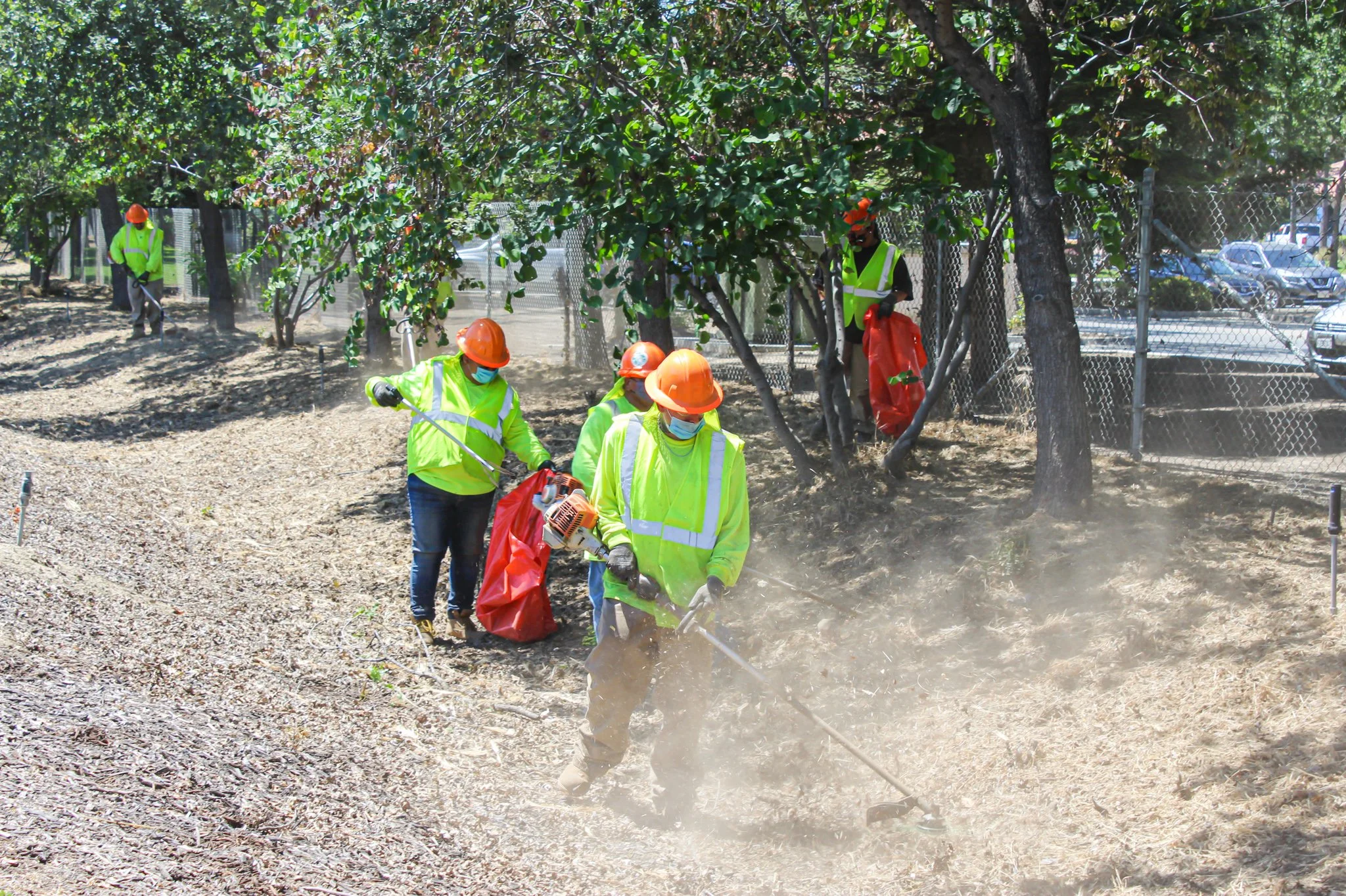 Back2Work crew trimming weeds along local highway..jpg