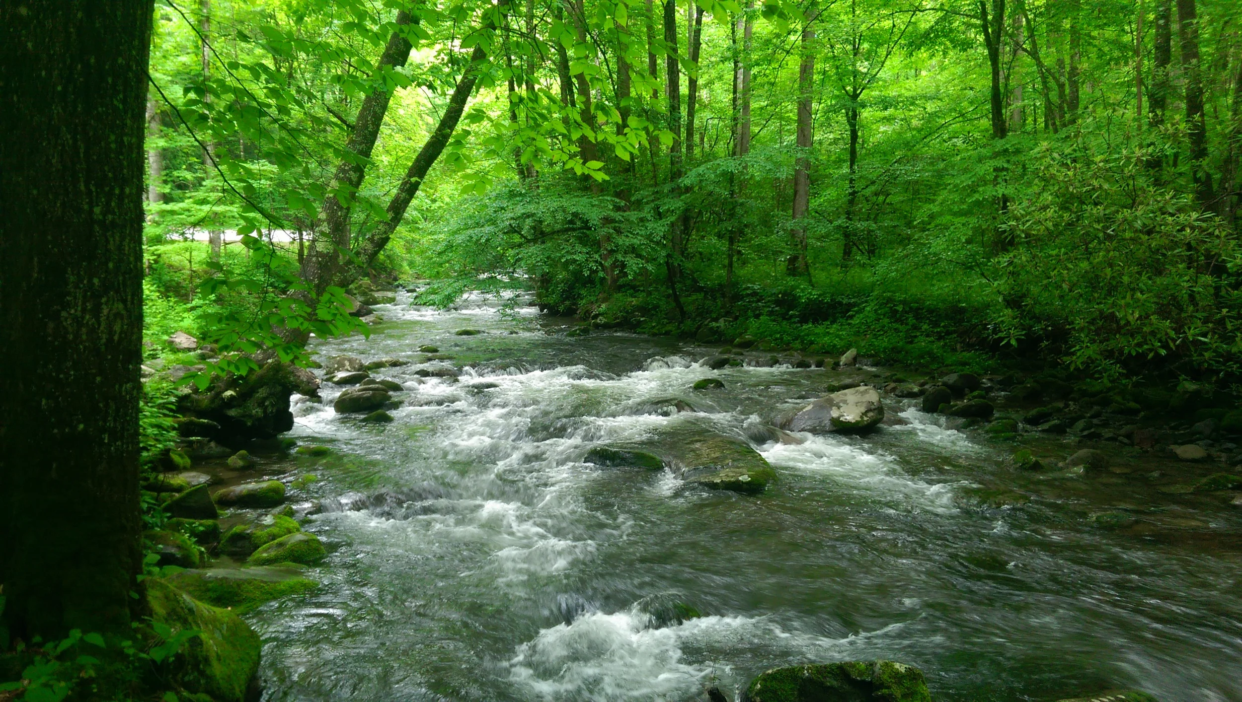 IMAG0240.jpg