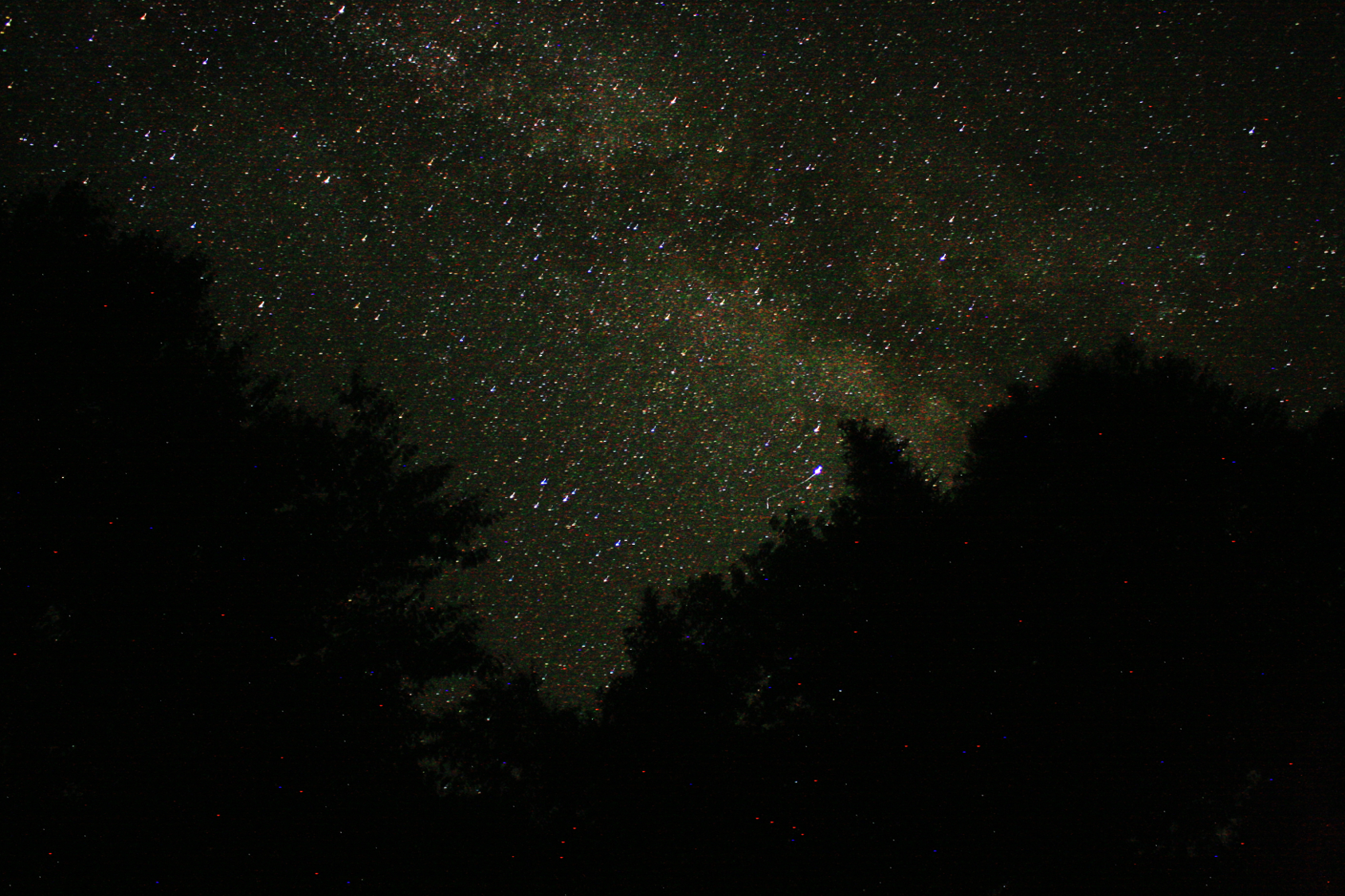 pic9.png