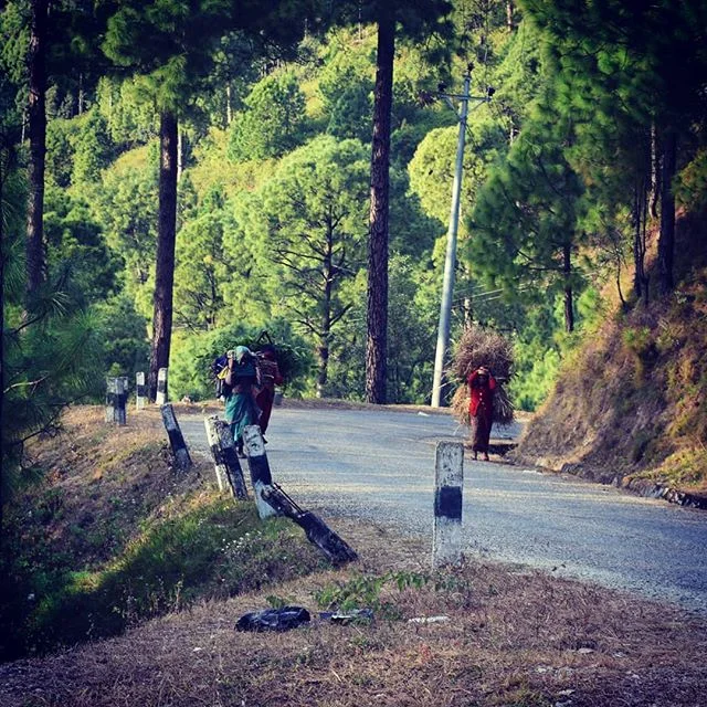 Hardworking women of the Himalayas carrying sticks and hay, while the men lounge around sipping tea.