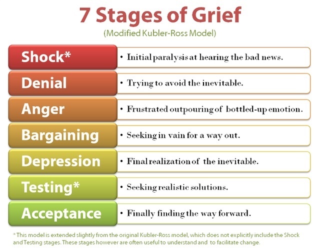 7 Stages of Grief (Modified)