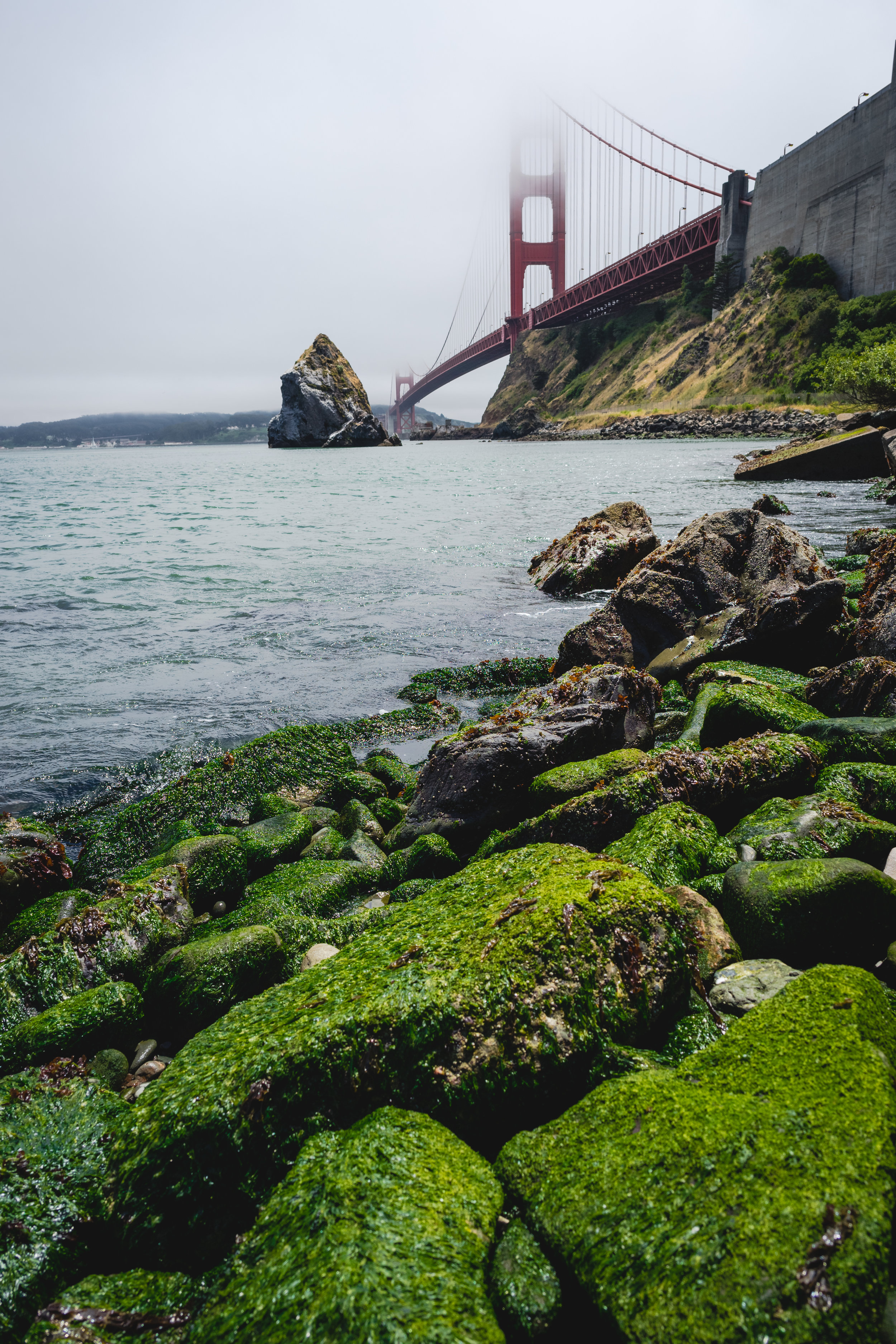 What you don't see are the hundreds of little crabs that come swimming out in between tides.