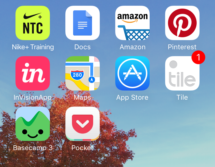 iphone-nike-danellebailey.png