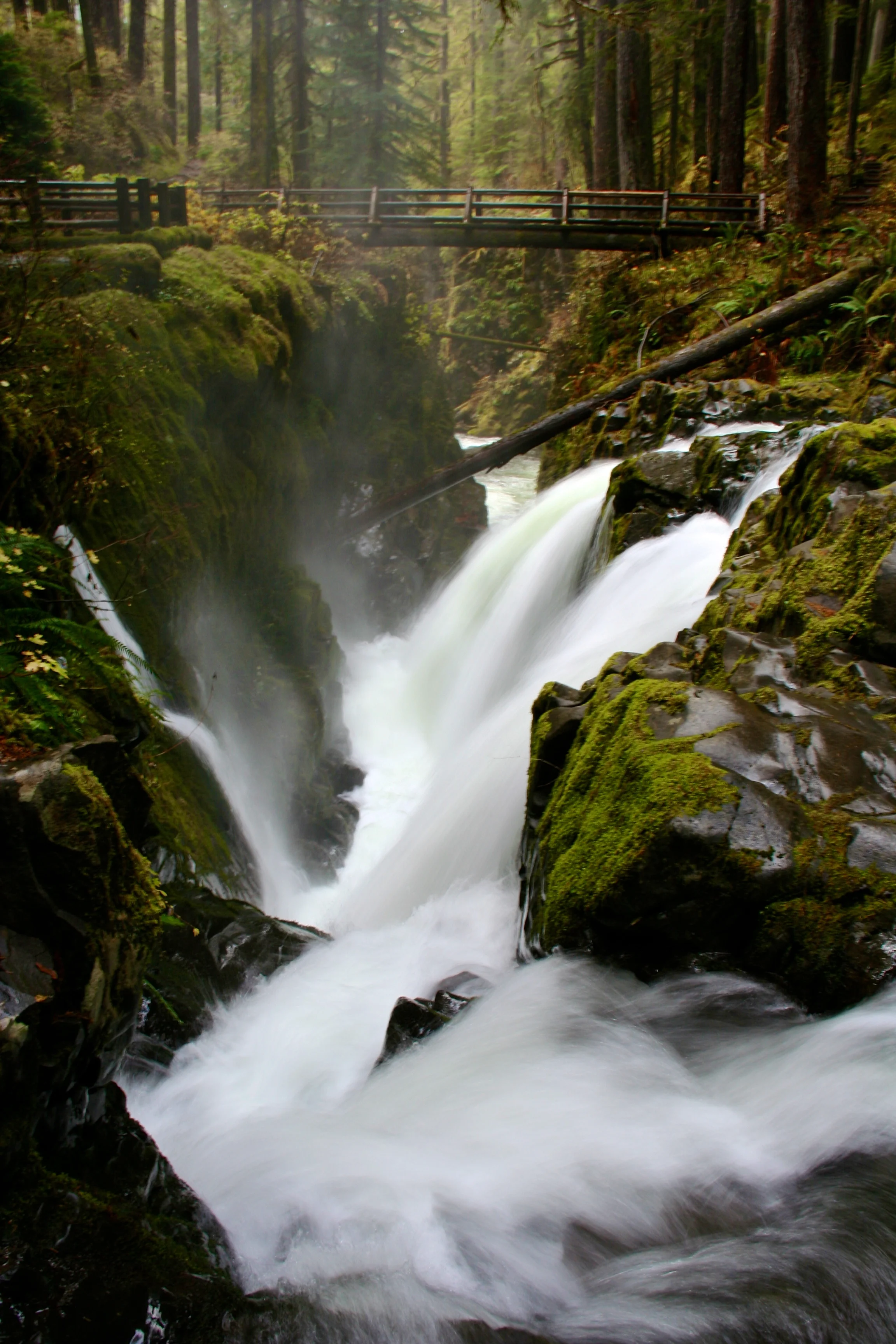 Sol Duc via Douglas Scott.jpg