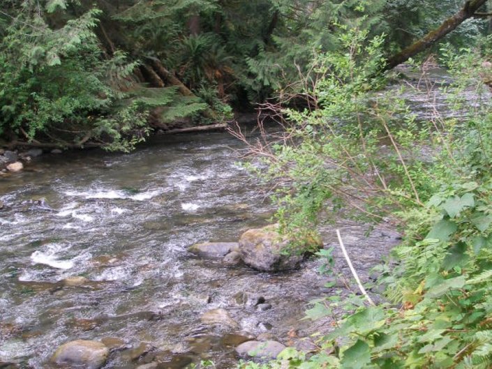 lyre river.jpg