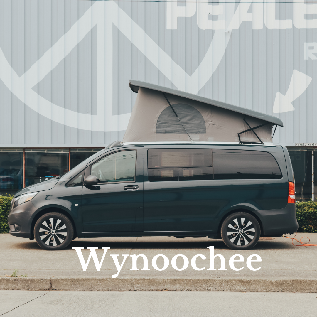 peace vans metris for sale