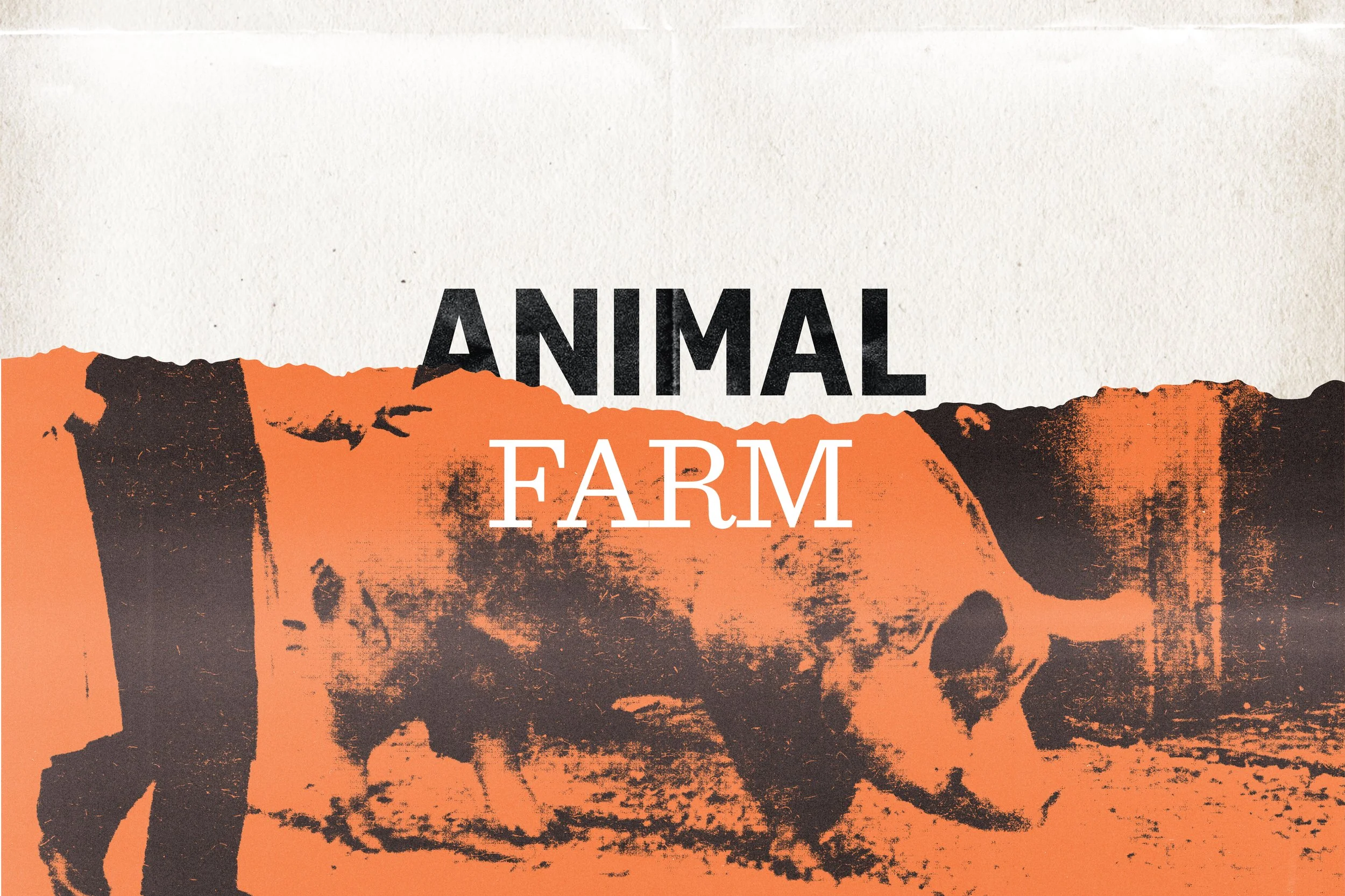 WebBanner_Animal Farm_0523 (1).jpg