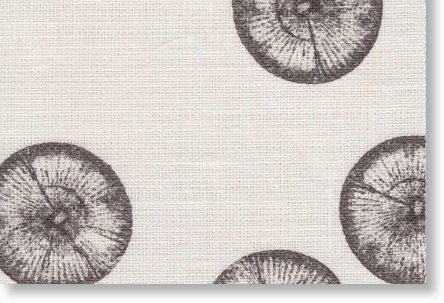  1001-13-A silt 100% eco linen 