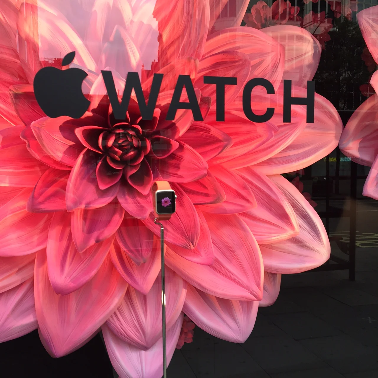 I love how the flower on the watch screensaver is replicated in giant form behind it.