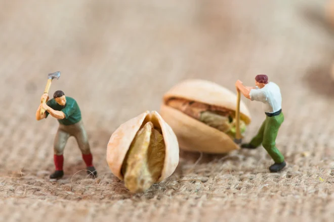 Help overturn the 'nuts decision' to abolish the Food Tech A-level.