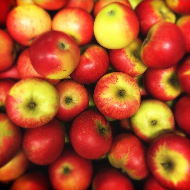 In this week's show.... an astonishing 14 percent of young adults said they ate no fruit or vegetables at all according to one poll.