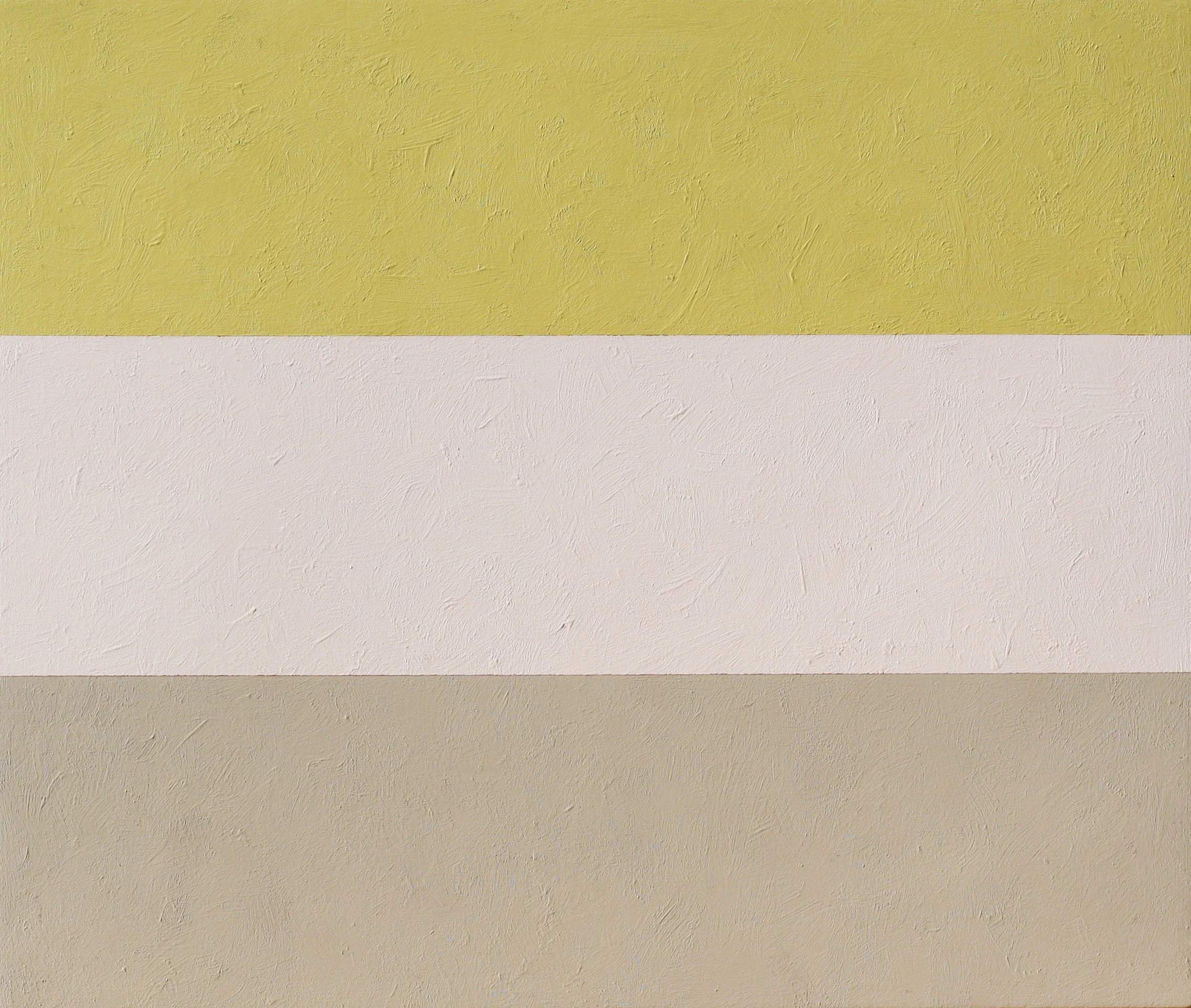 Ghost Shadow #13, 2015, 32x38. acrylic on canvas