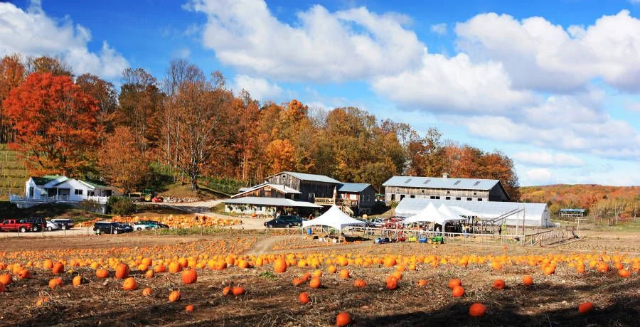 Gallery Pond Hill Farm