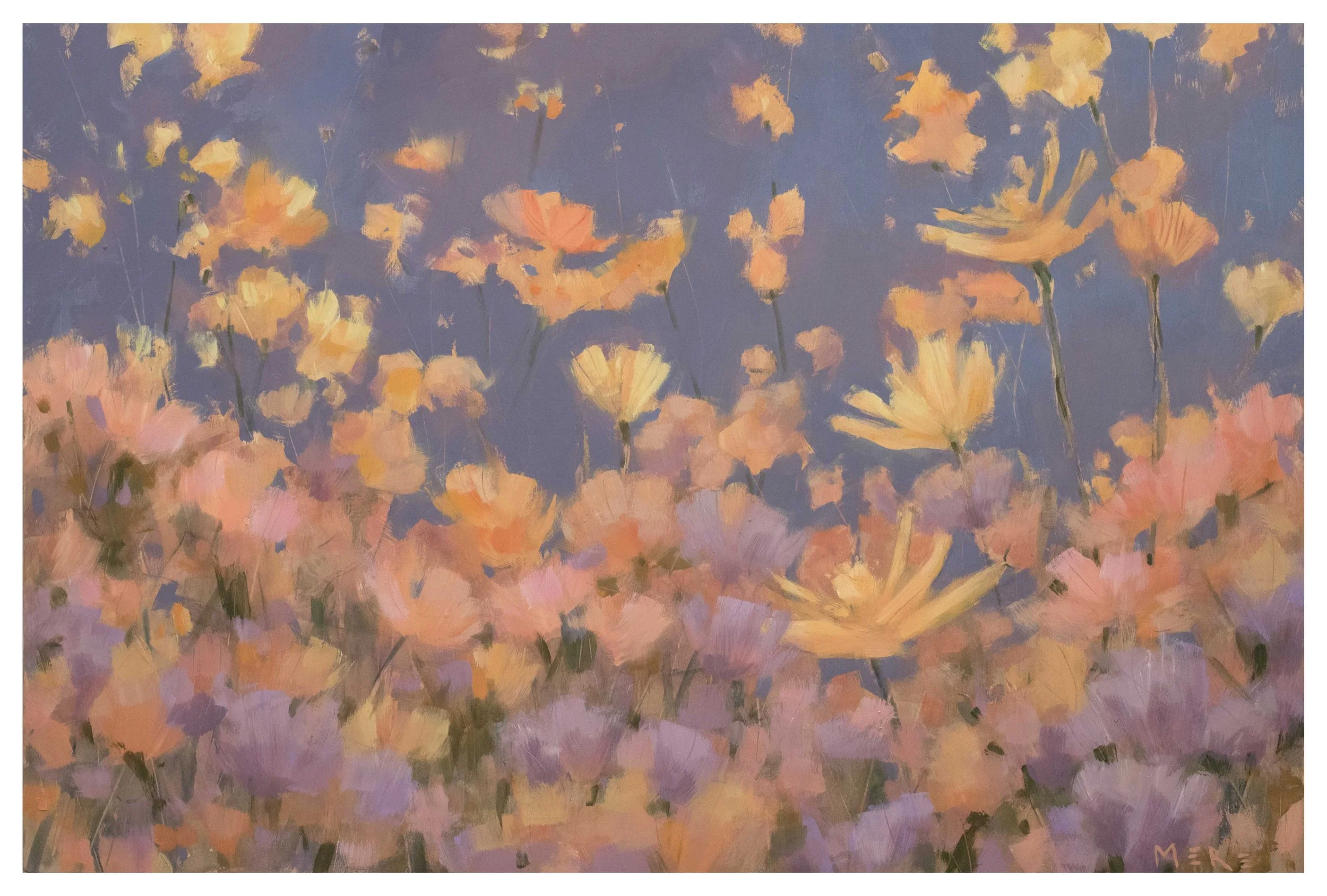 Jump in to the Wonder web w border.jpg