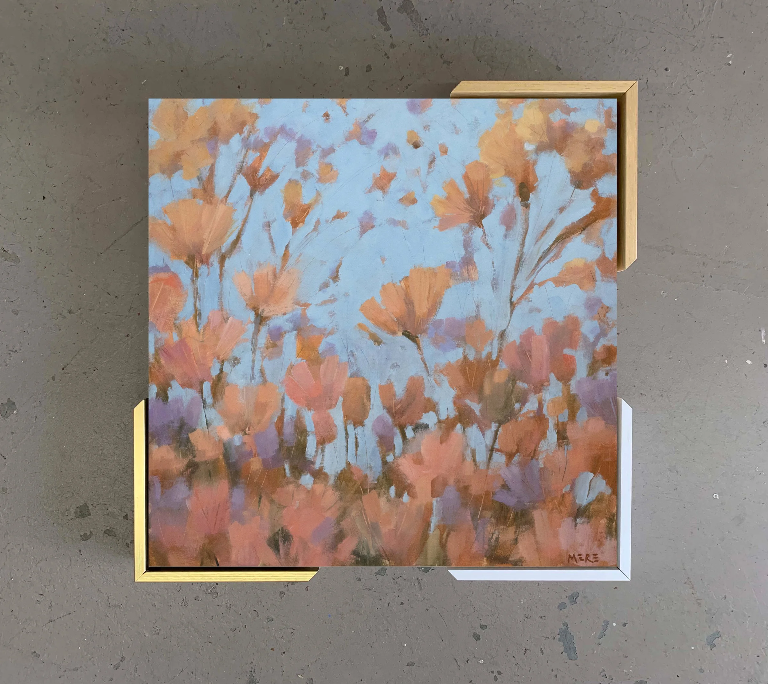 Cosmos framed.jpg