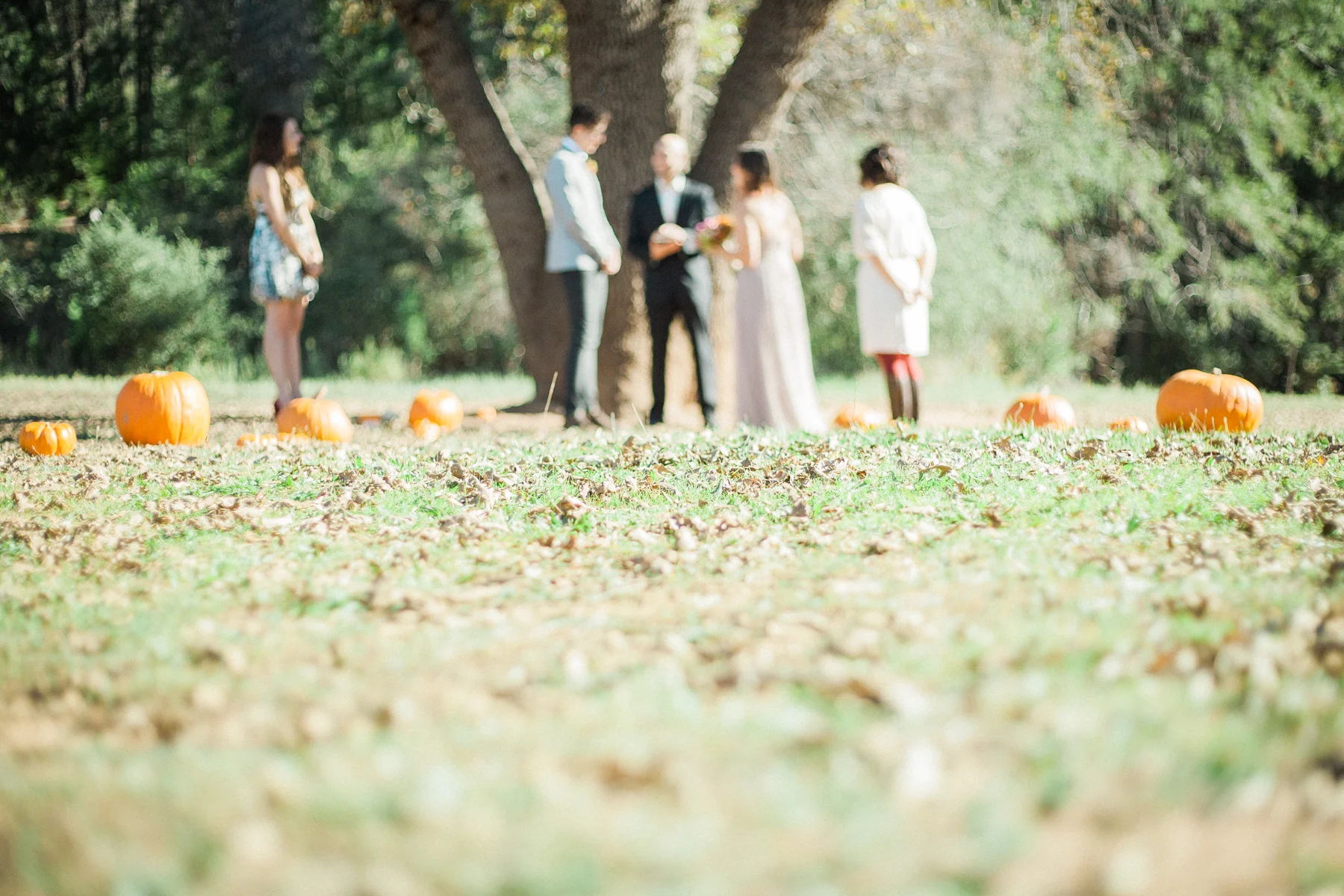 julian-ca-elopement-1327.jpg