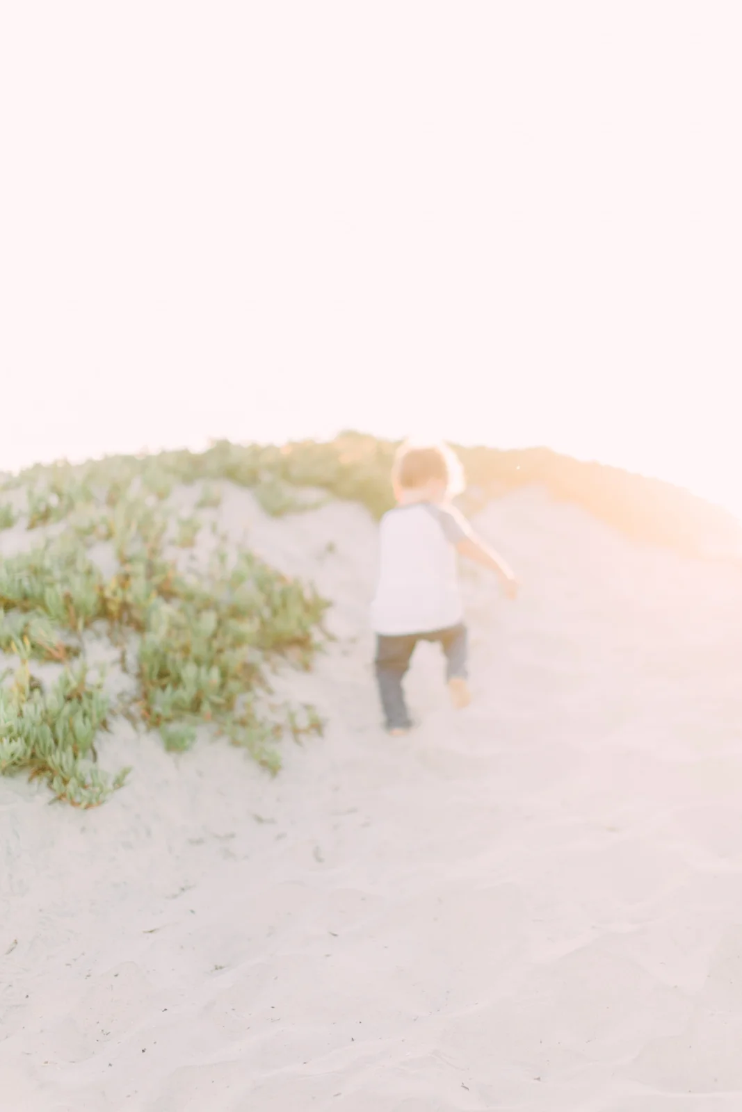 san-diego-maternity-photographer-1.jpg