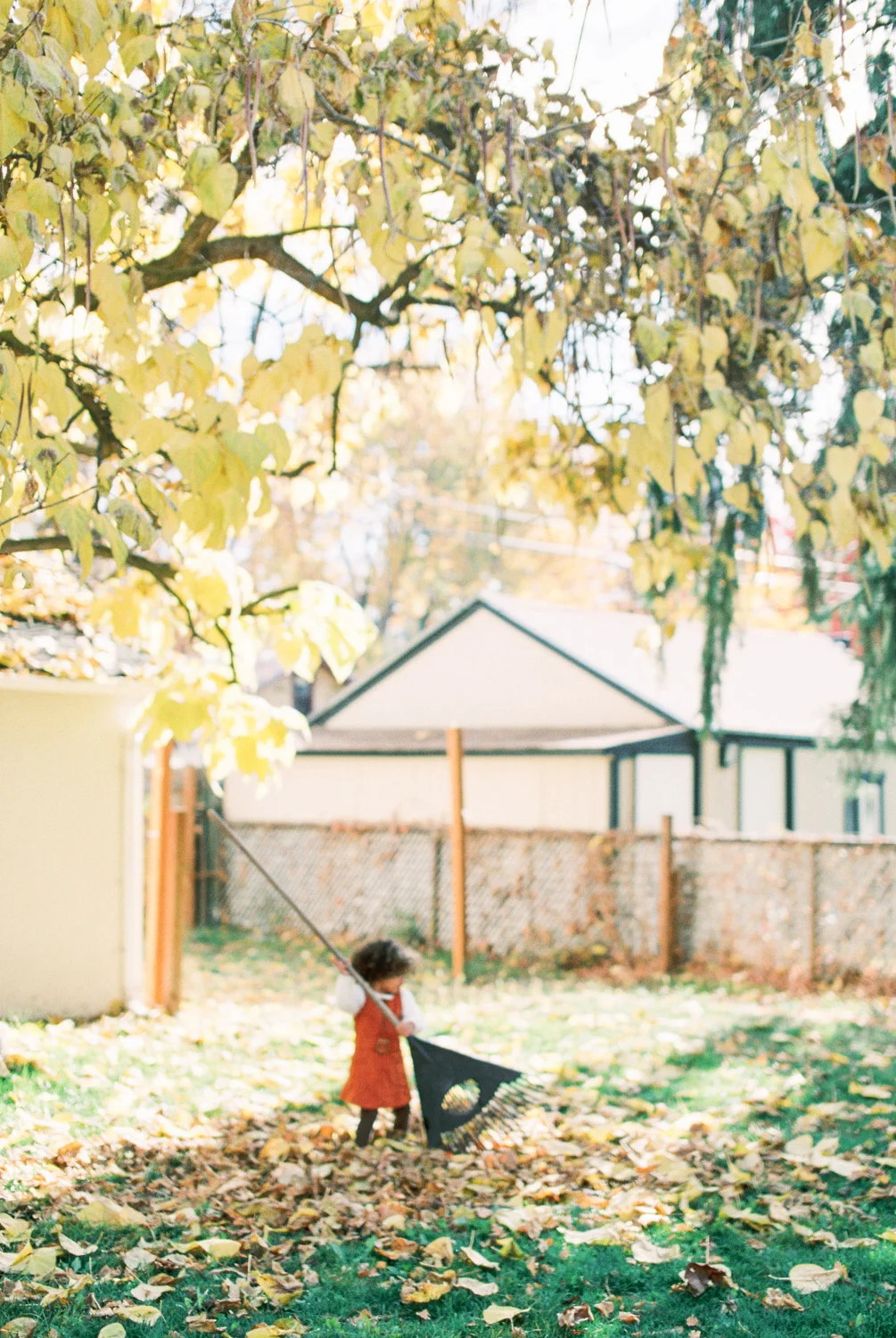 boise-idaho-family-photographer-119.jpg