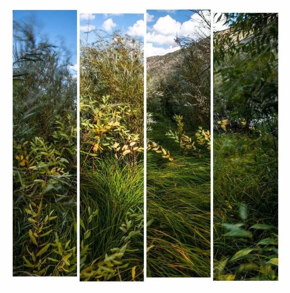 Madeline Wilson, Fractured Landscapes: Wind (2019)