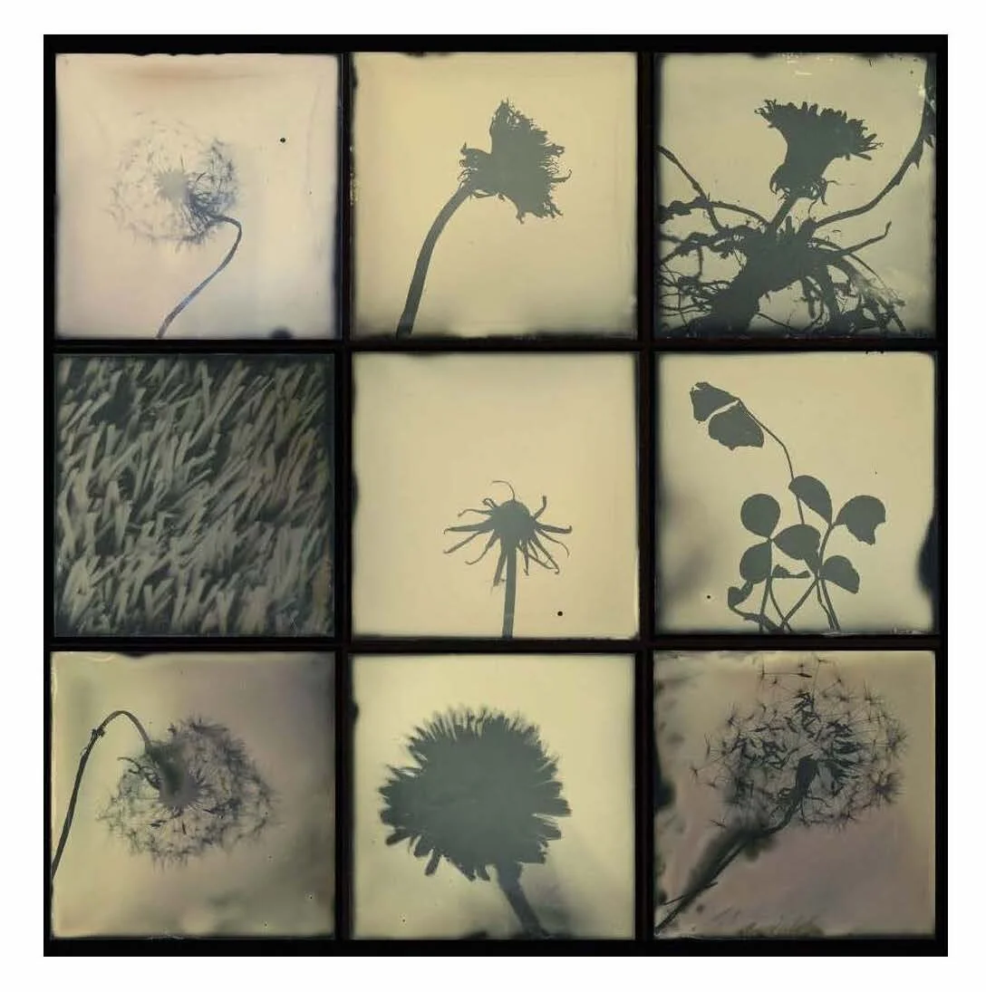 Katie Kalkstein, Denying Dogma (2017)