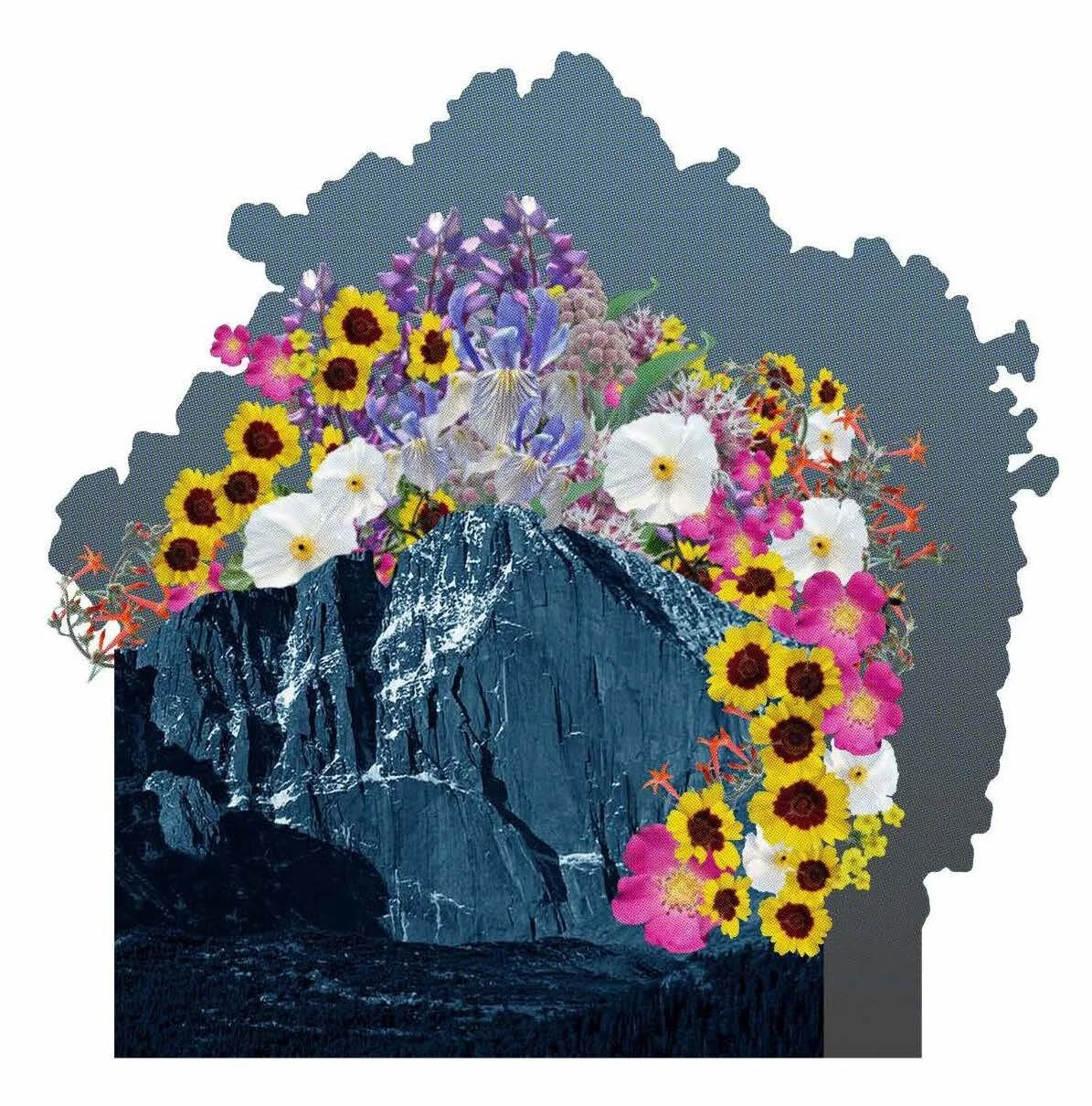 Libby Barbee, Trophies: Longs Peak (2019)
