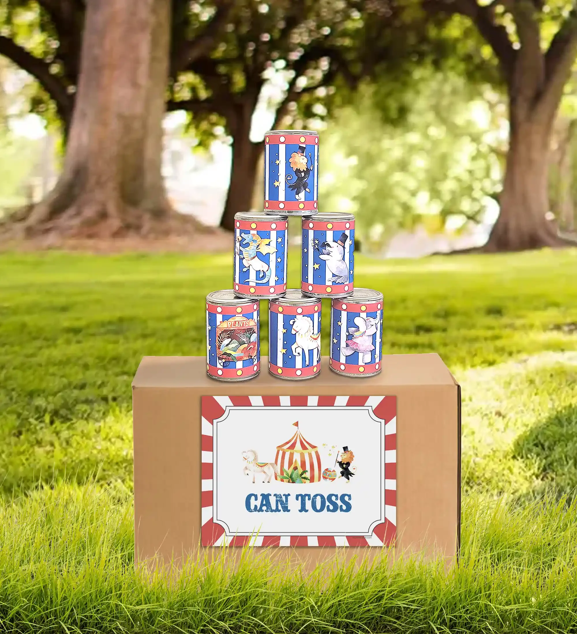 carnival-can-toss_1.webp