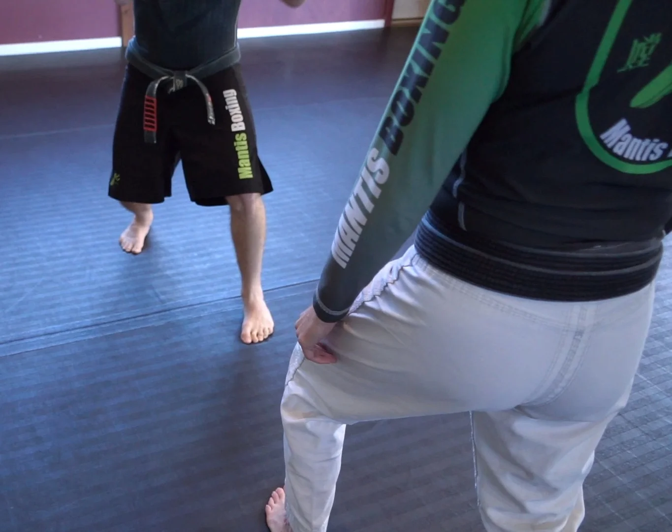 Tear Down the Monkey - Fight Stance Revamp