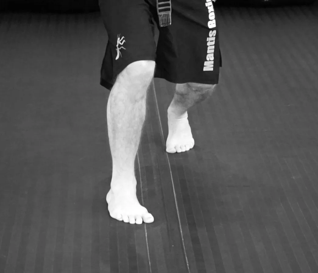 Monkey Stance