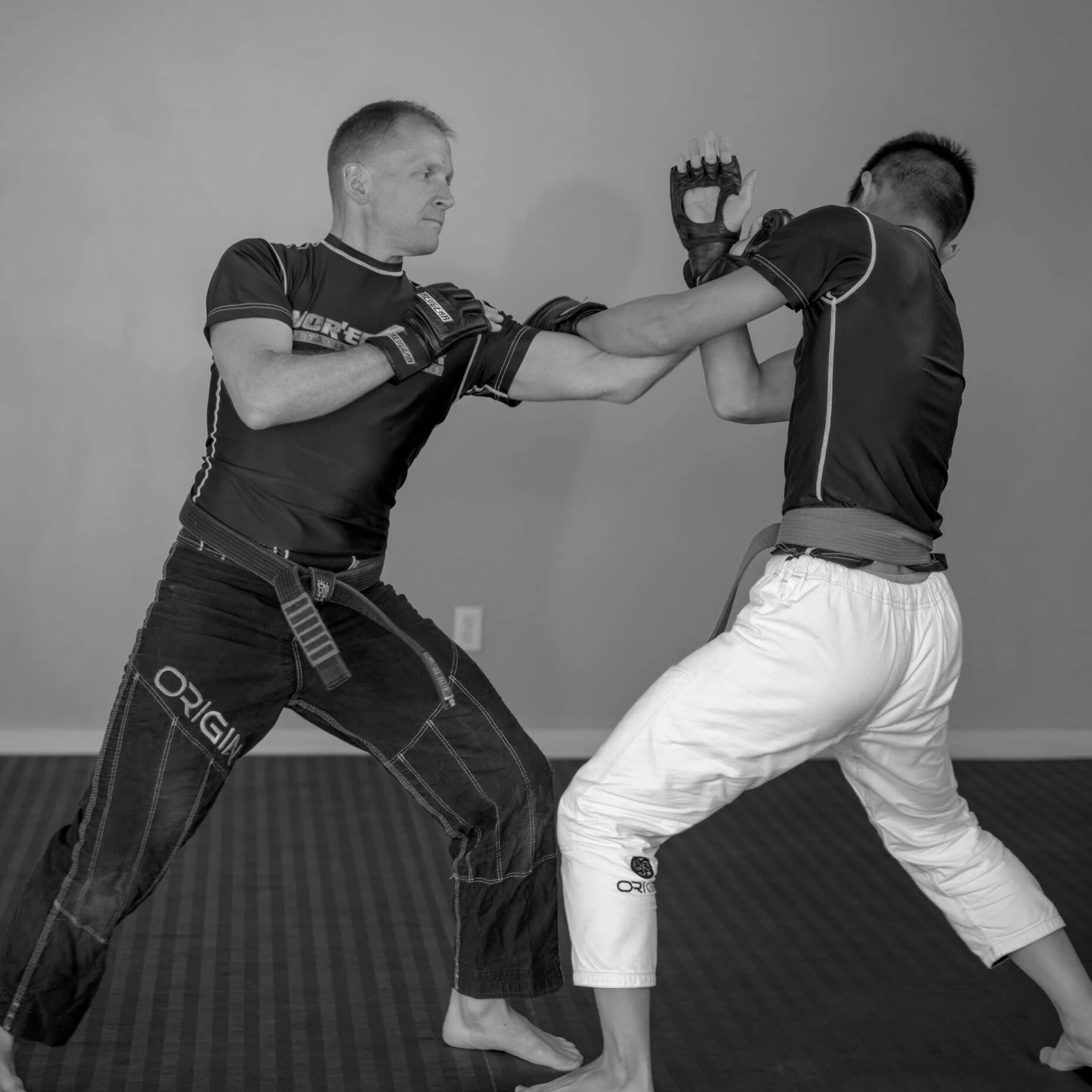 The Strikes of Mantis Boxing