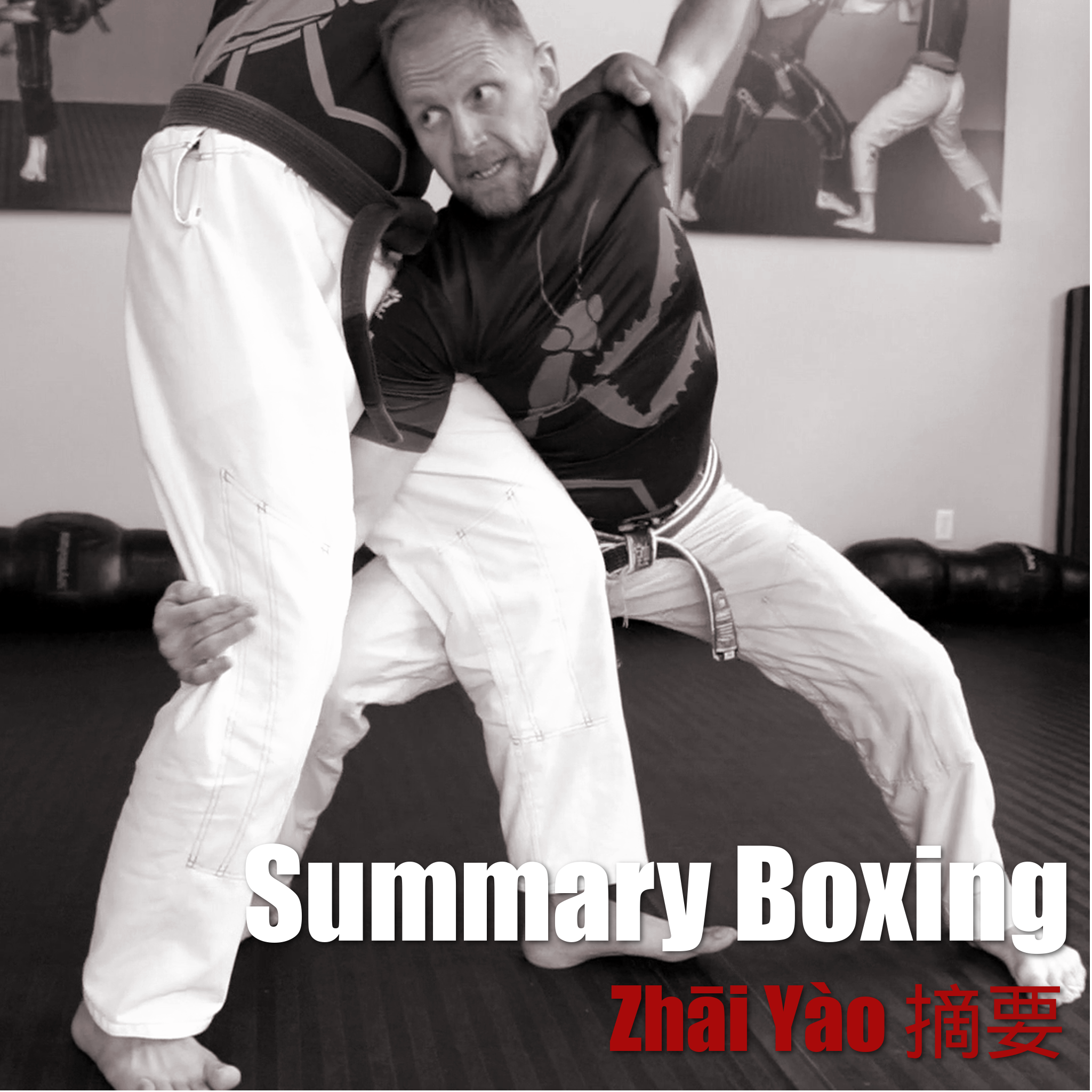 Summary Boxing Set (Zhāi Yào 摘要)
