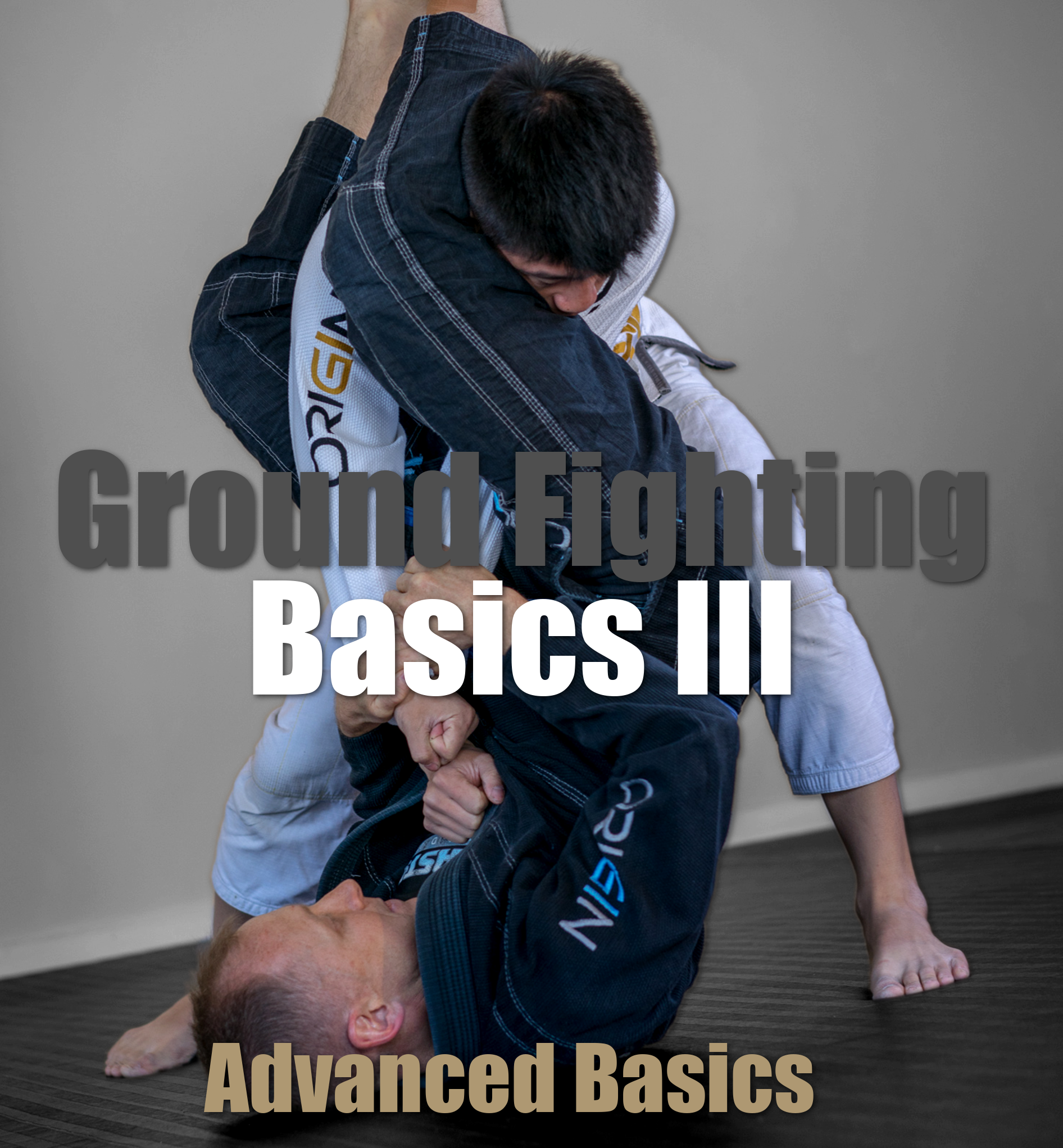Ground Fighting Basics III - Advanced Basics