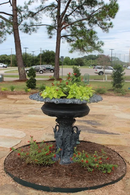 Fall plantings going in.