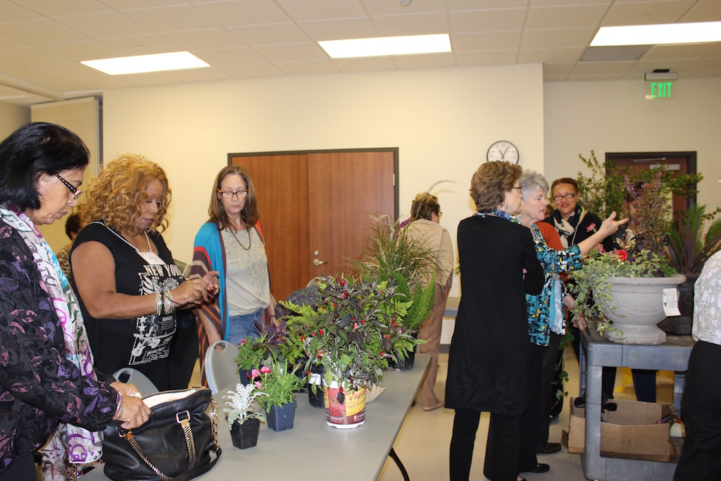 Members review plants and a variety of planting containers. 