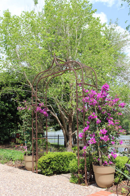 Garden of Patricia and Jerry Black