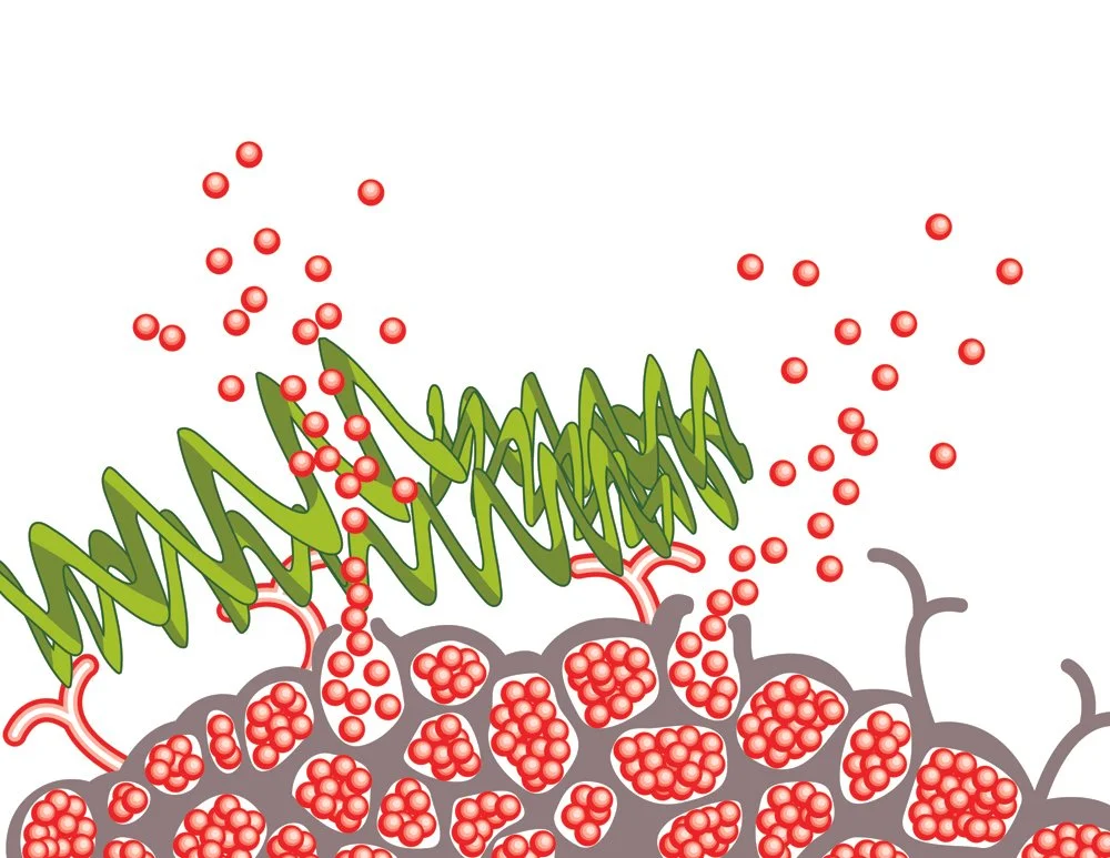 Whole Protein State 3.jpg