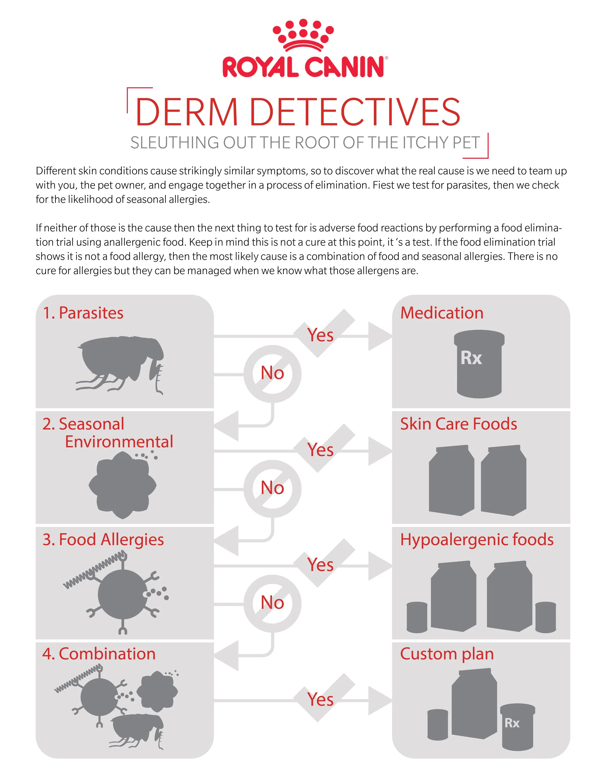 Diagnosis Detective v03.jpg