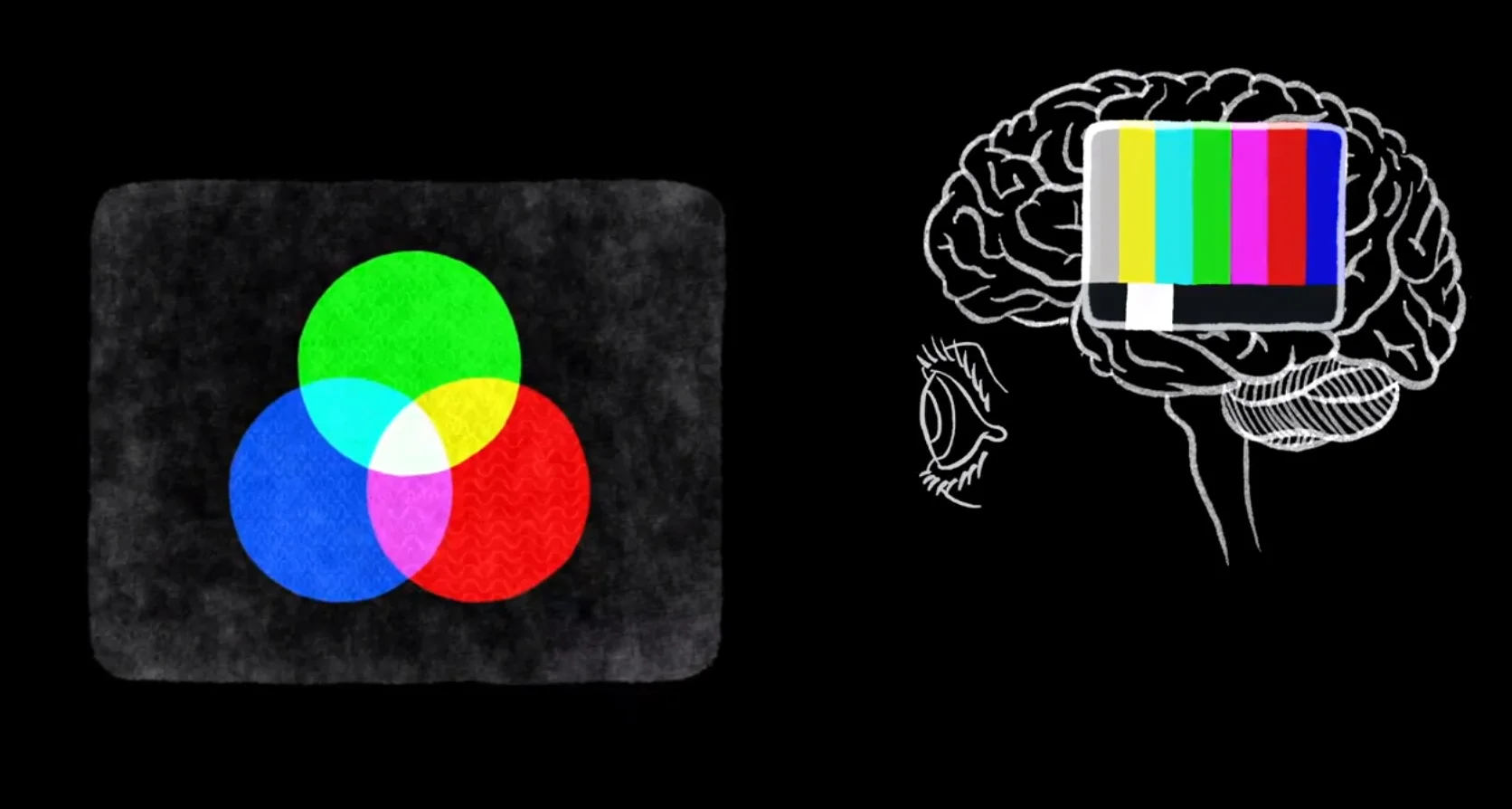 Optical illusions show how we see by Beau Lotto