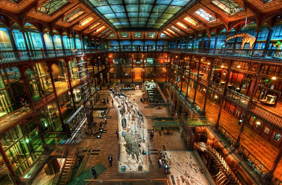 The Secret Lair of Jules Verne-900x593.jpg