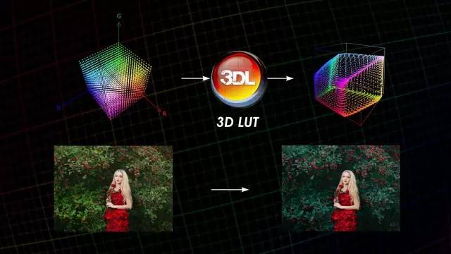 3d lut.jpeg
