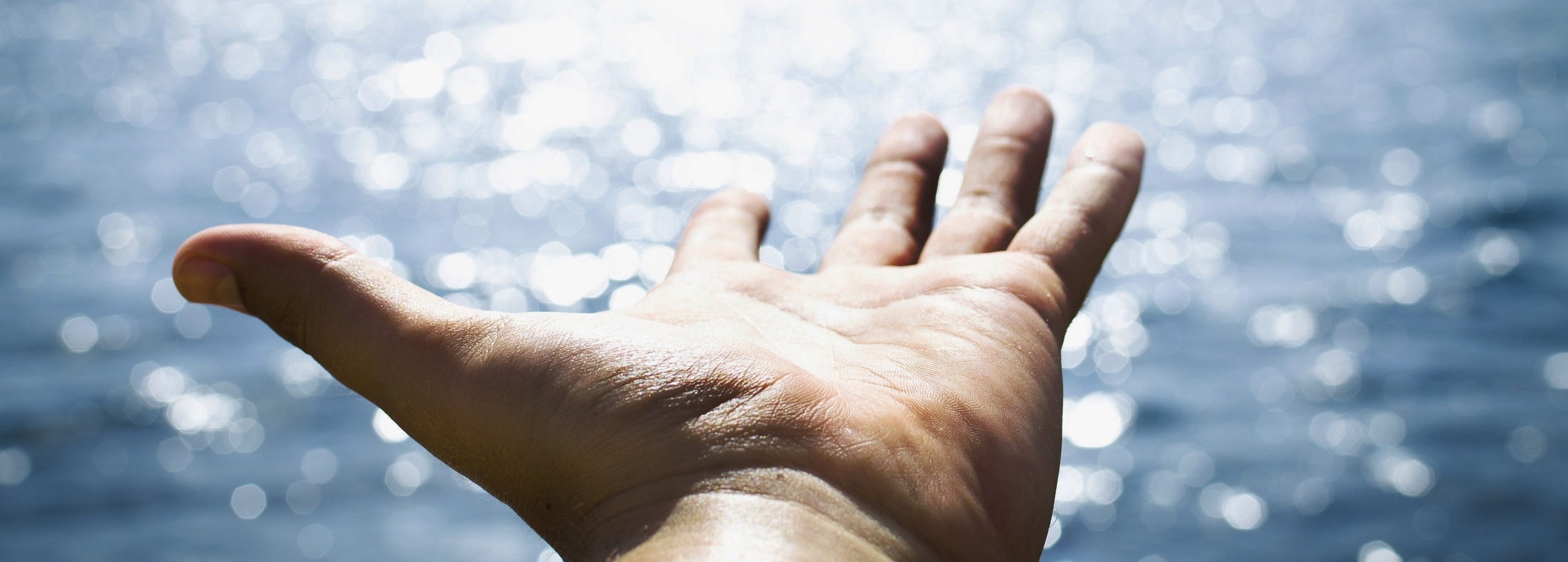 Best lut for vlogs - DSLR