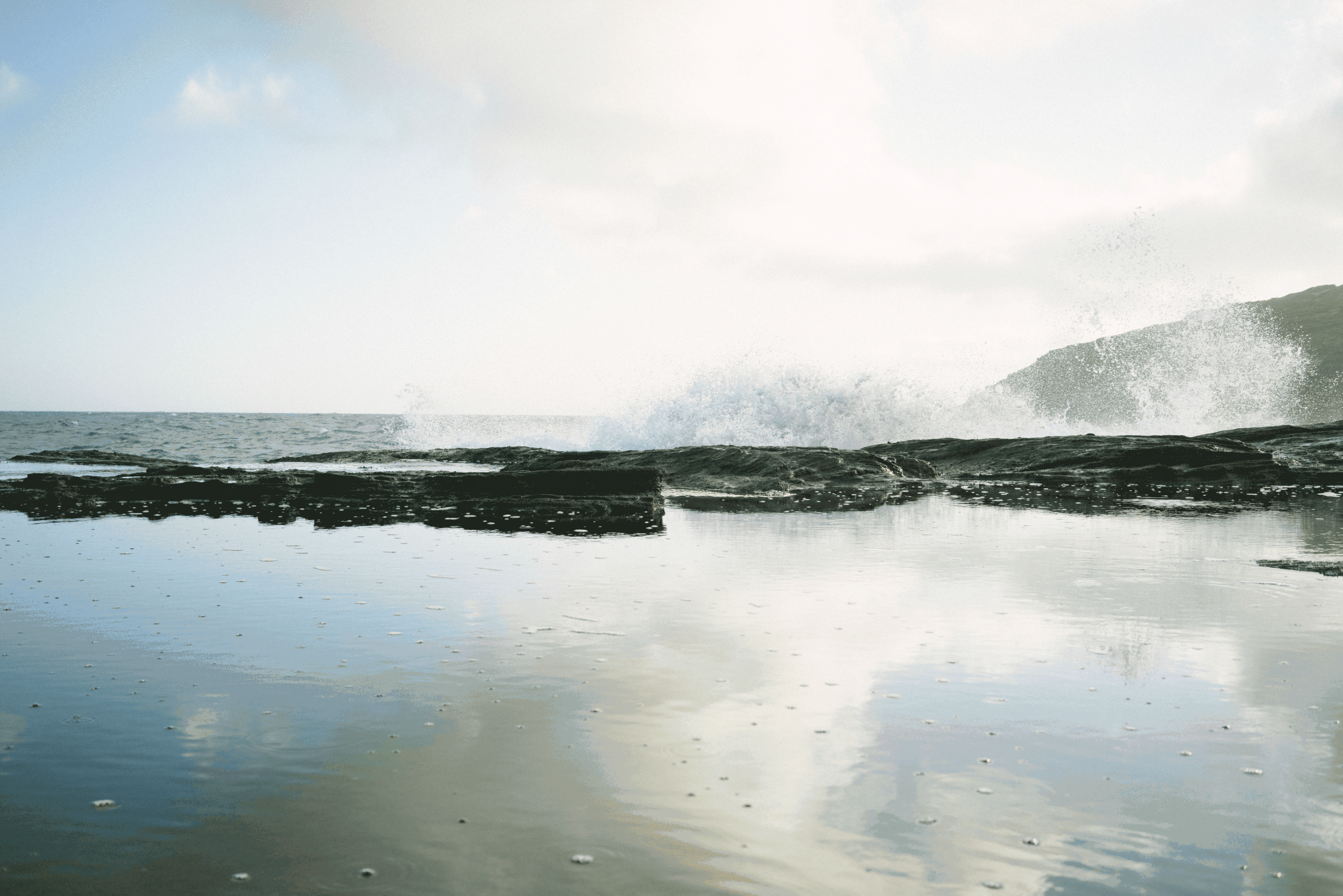 _DSC8491.gif